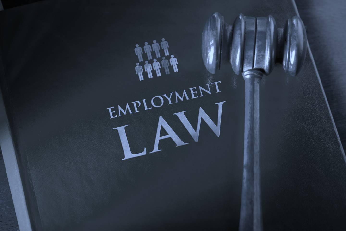 We represent clients through all phases and all types of employment issues ranging from internal investigations and negotiations to litigation in administrative agencies and the court system.